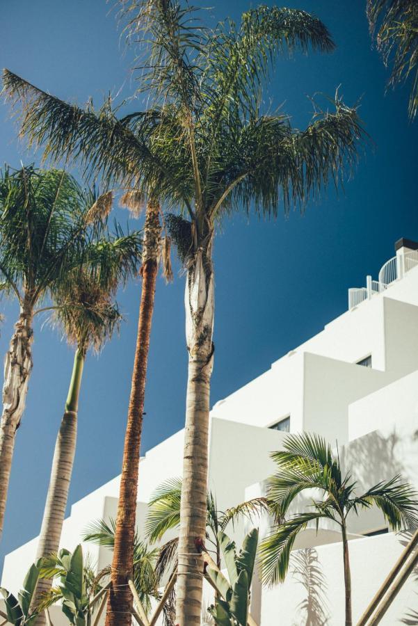 Cala Lanuza Suites El Campello Bagian luar foto